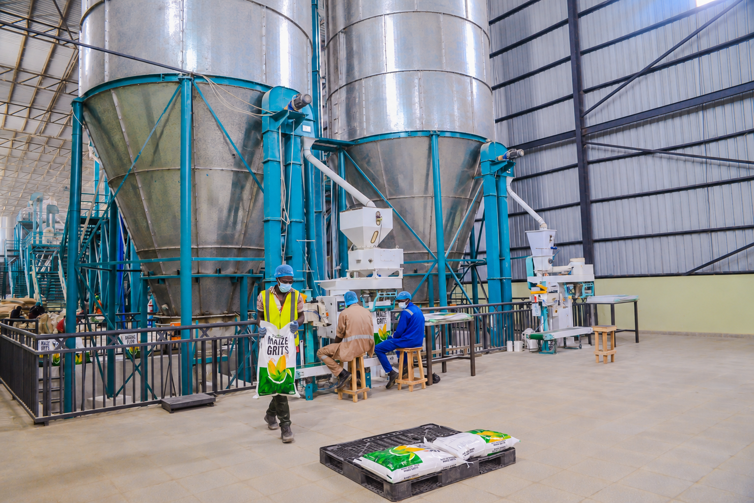 Maize grits being packed beneath tall storage silos